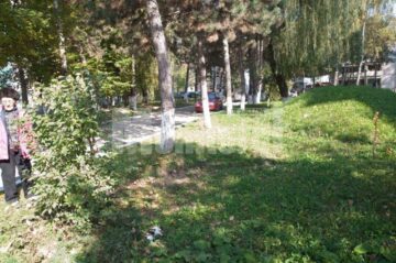 De câteva zile: Străzile Sucevei, împânzite cu otravă pentru câinii vagabonzi