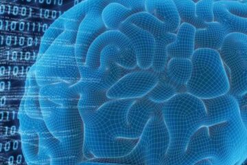 Vârsta la care apar simptomele Alzheimerului a scăzut de la 70 la 45 de ani