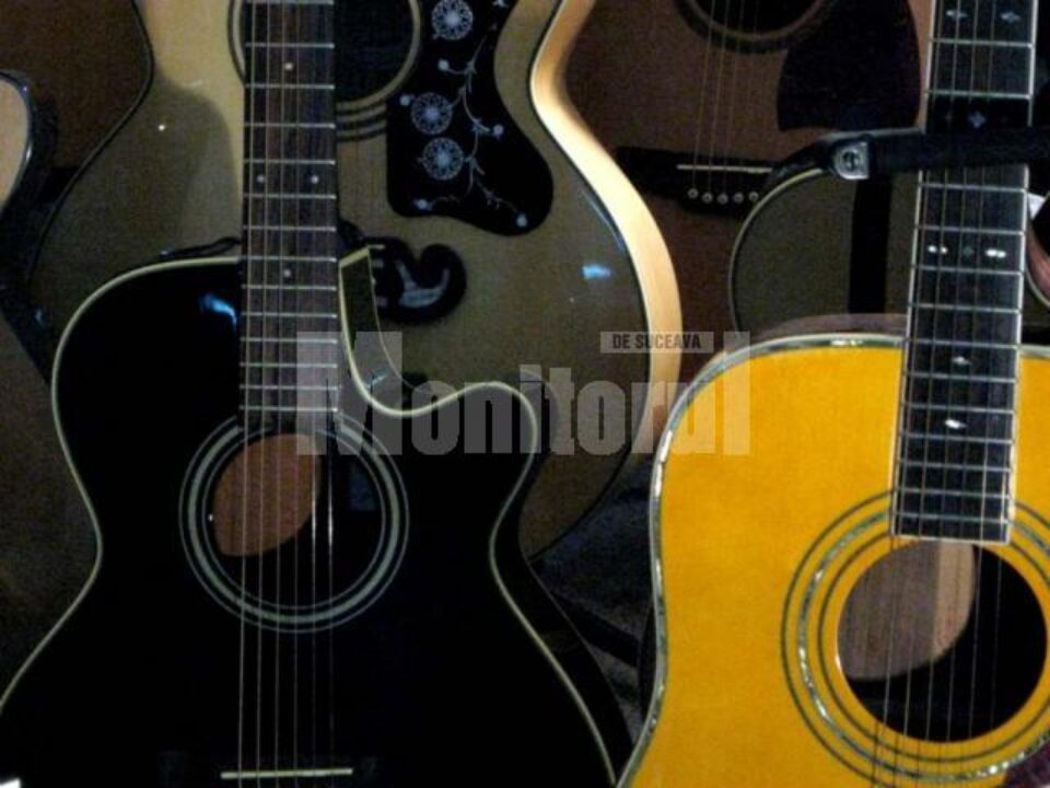 Din noiembrie: Festivalul-concurs de muzica folk „Folklung”
