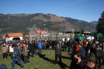Vatra Dornei: La Casa Muntelui, s-a dat startul unui proiect de creștere a animalelor de carne