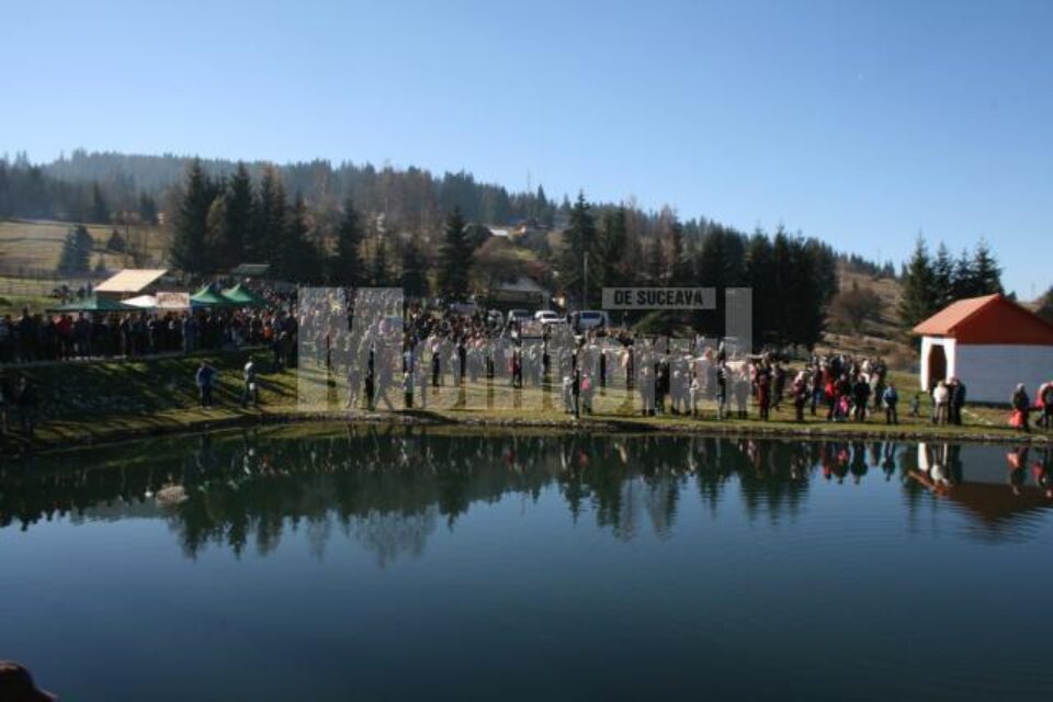 Păstravul este crescut tot mai des în iazurile de munte