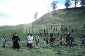 Peste o sută de oameni muncesc la igienizarea pășunii din Ilișești