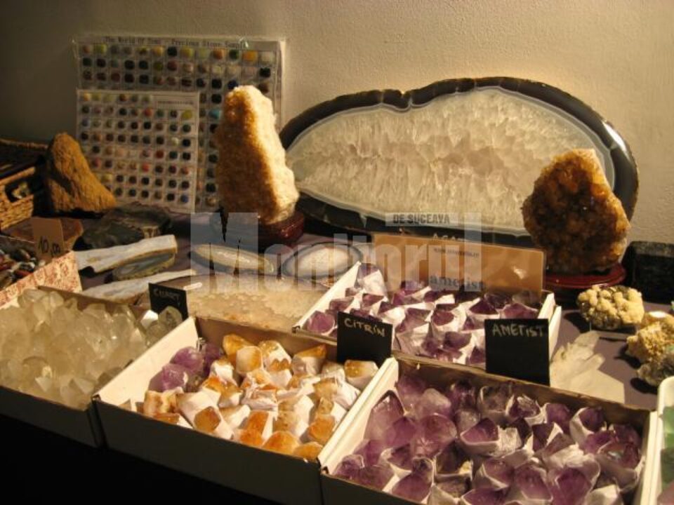 Expoziția „Mineralia”, la Muzeul de Științele Naturii