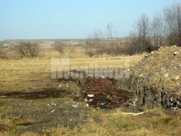 Groapa în care sunt deja adunate tone de resturi de animale