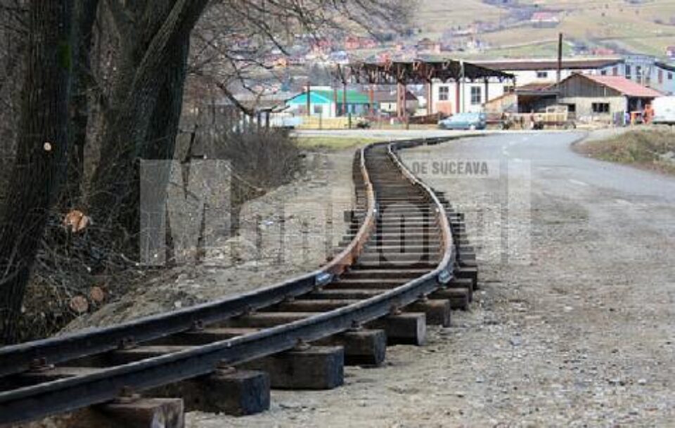 În parcul Ariniș de la Gura Humorului au început lucrările pentru amplasarea căii ferate pe care va circula mocănița