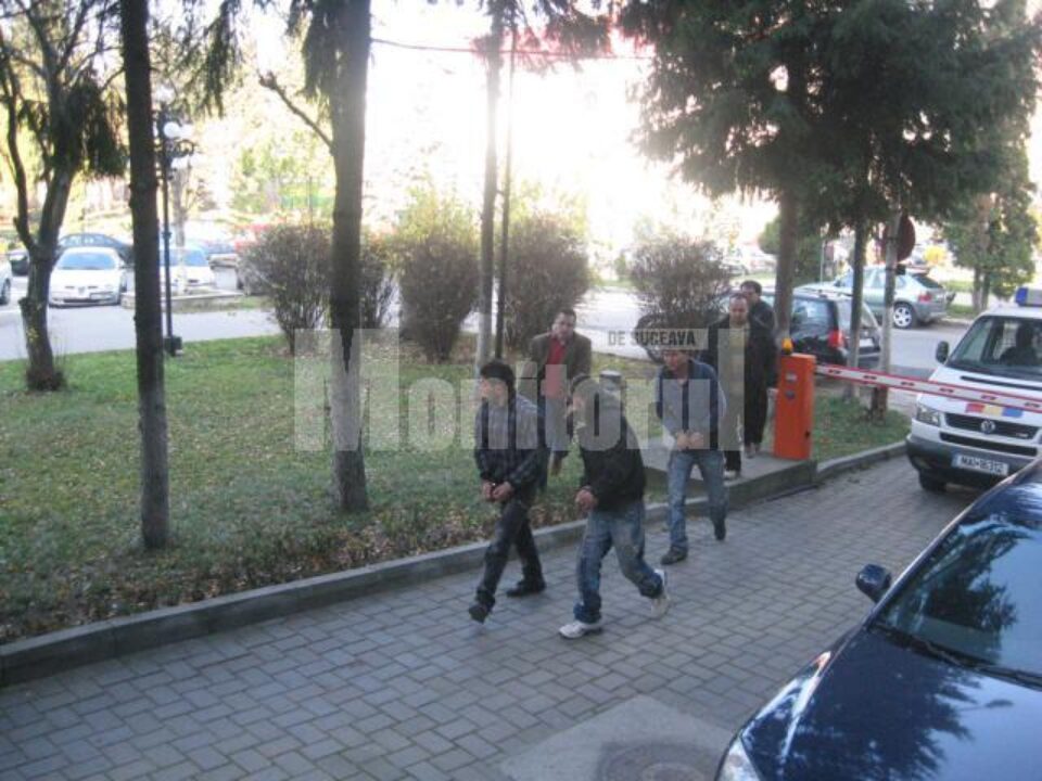 Trei dintre agresori au fost arestați prevenitiv