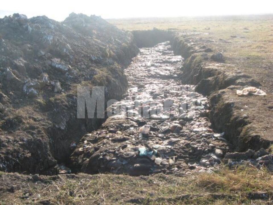 Șanț lung de aproximativ 50 de metri și adânc de cel puțin cinci, șanț în care erau aruncate tone de resturi de animale, organe, copite și capete de cai