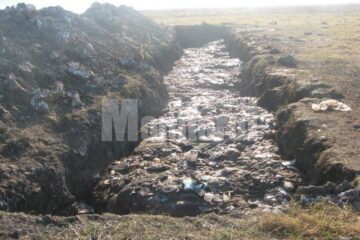 Șanț lung de aproximativ 50 de metri și adânc de cel puțin cinci, șanț în care erau aruncate tone de resturi de animale, organe, copite și capete de cai