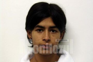 Elena Gherman, cercetată penal pentru 35 de furturi și nouă tâlhării