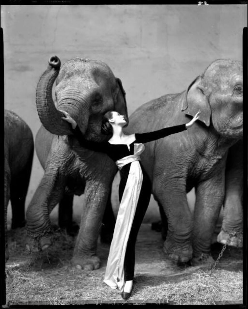 O fotografie de Richard Avedon, vândută cu prețul record de 841.000 de euro