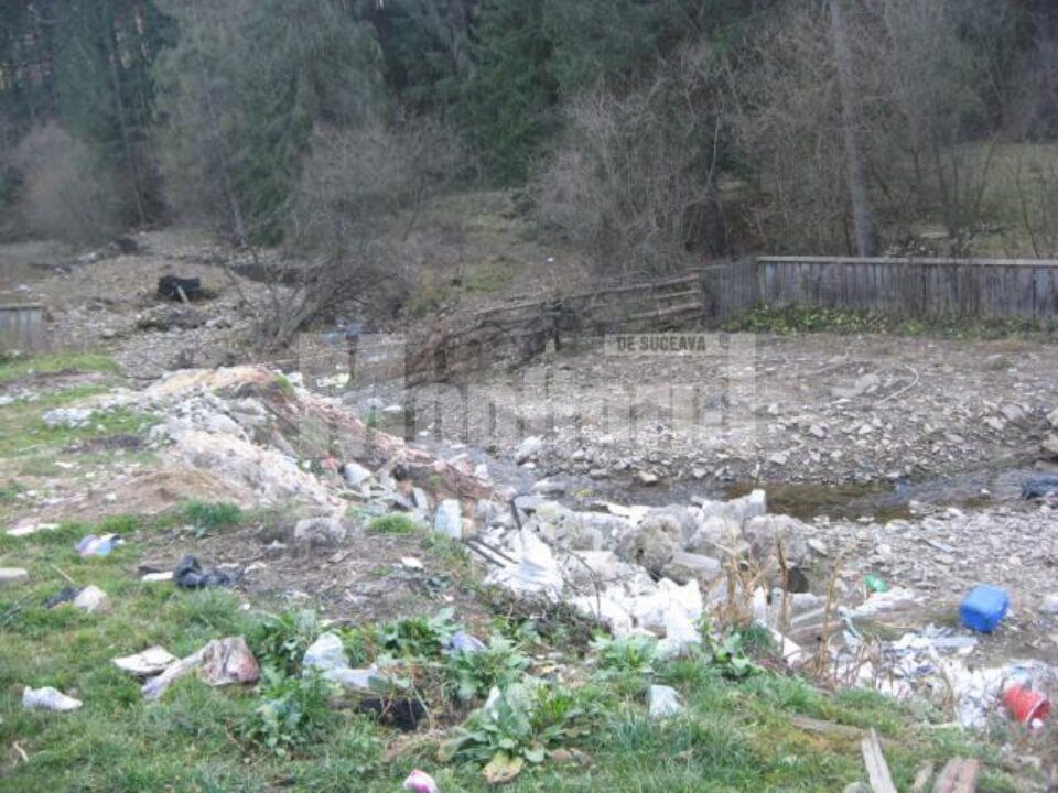 Rușinos: Malul unui pârâu, împânzit de gunoaie la doi pași de Mănăstirea Putna