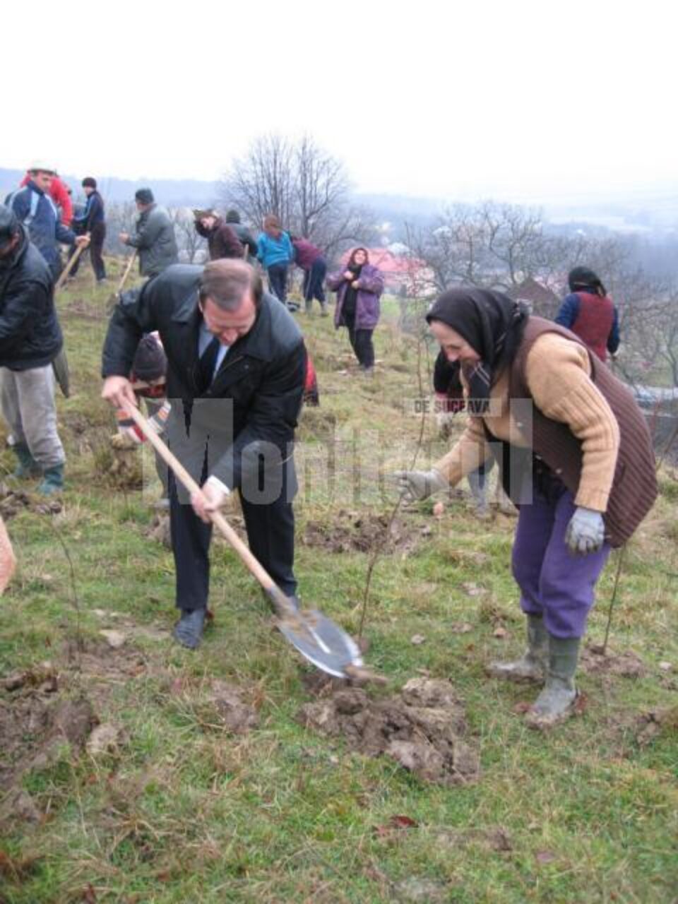 Președintele Consiliului Județean, Gheorghe Flutur, la acțiunea de la Șerbăuți
