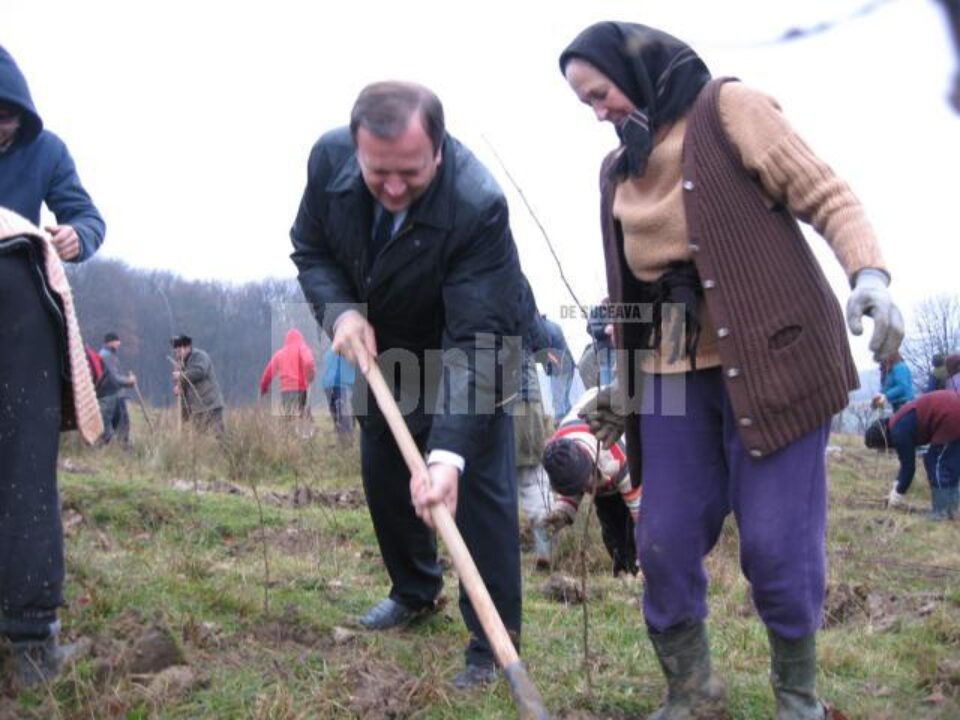 Acțiune: Firmele de asigurări au finanțat împădurirea a 11 hectare de teren la Șerbăuți