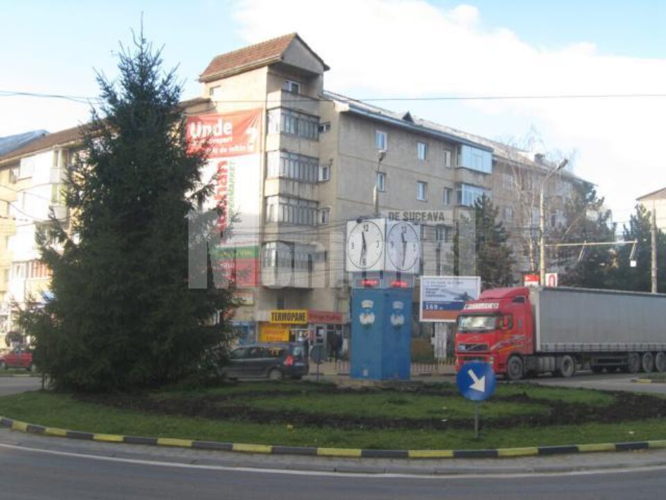 Hoție: Trandafirii din sensul giratoriu Burdujeni s-au făcut “nevăzuți”