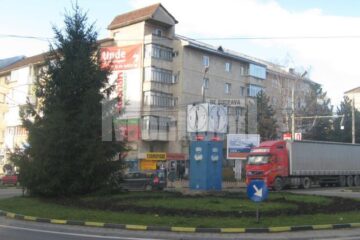 Hoție: Trandafirii din sensul giratoriu Burdujeni s-au făcut “nevăzuți”