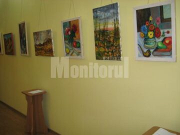 Secvență din expoziția de la Galeria Taras Șevcenko