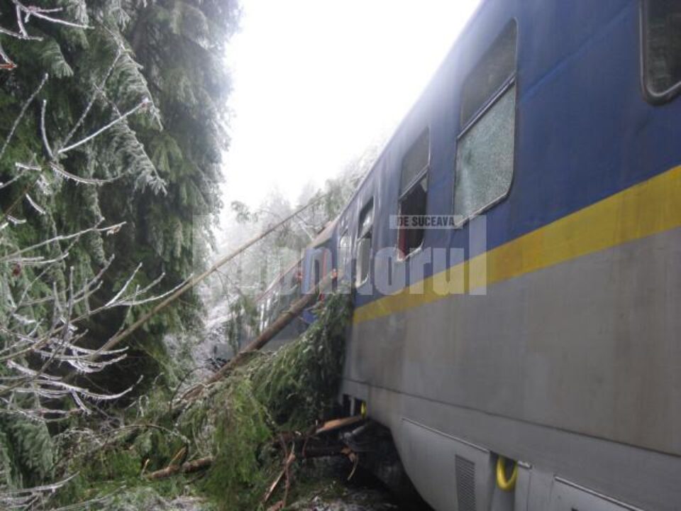Acceleratul, blocat în pădure, la gura unui tunel