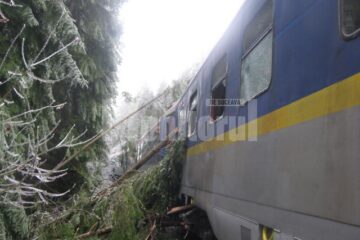Acceleratul, blocat în pădure, la gura unui tunel