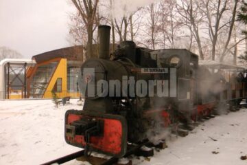 Mocănița pleacă de lângă podul din centrul orașului, de peste pârâul Humor, și merge pe dig până în Parcul Arniș