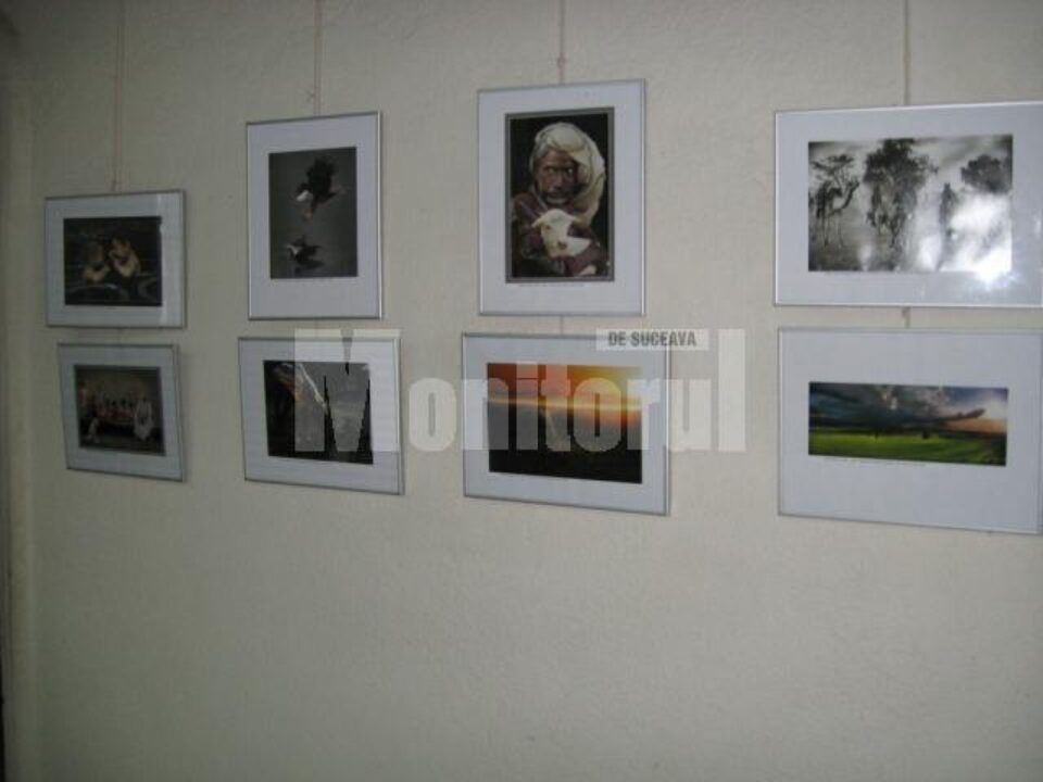Secvență din expoziție