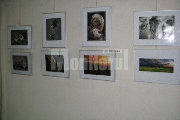 Secvență din expoziție