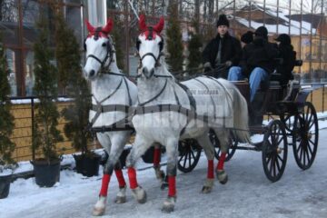 La minus 3 grade Celsius: Ambasadori din țările calde au gustat Bucovina la ea acasă