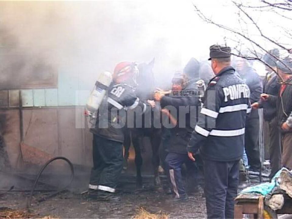 Intervenție dificilă: Pompierii au salvat trei animale dintr-o șură în flăcări
