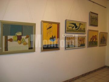 Secvență din expoziție