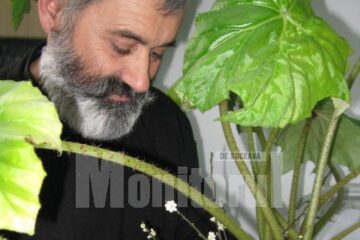 Tradiția florilor de Crăciun a deprins-o George Celsie de la bunica sa