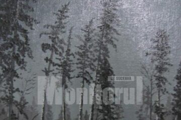 Lucrare de Gheorghe Crăciun