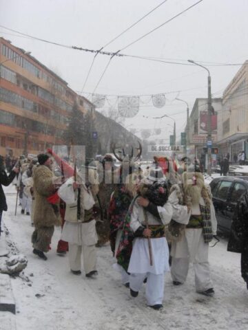 Parada tradițiilor: Urși, capre și urători au invadat străzile Sucevei