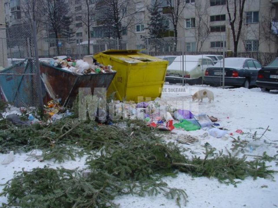 Începând de la 1 ianuarie 2011, sucevenii au de plătit lunar câte 4 lei de persoană în contul taxei de ecologizare