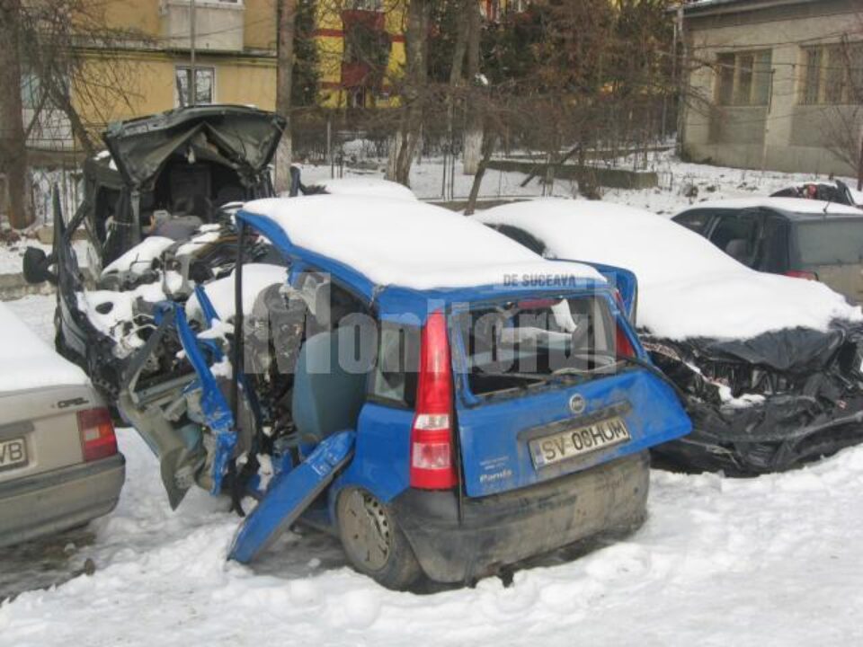 Așa arată autoturismul Fiat Panda și microbuzul Renault, mașini în care au murit șapte oameni