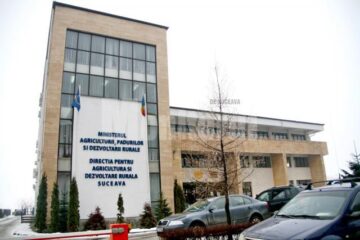 Războiul nervilor: Aglomerație și nemulțumiri la APIA Suceava