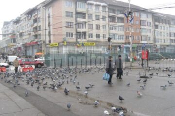 Trotuarul și jumătate din strada Ștefan cel Mare, îngrădite cu gard de protecție