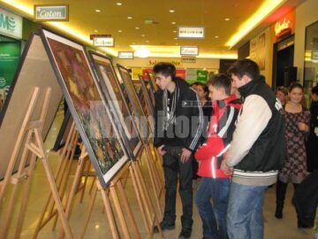 Vizionarea expoziției