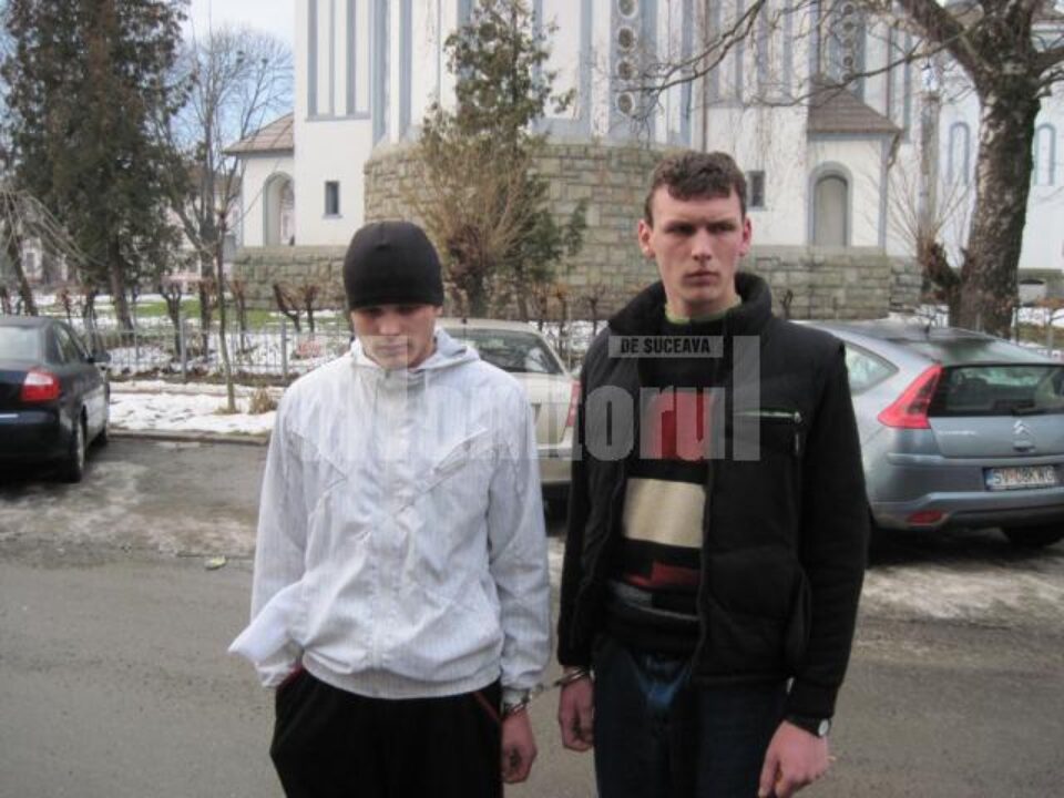 Zaharie (stânga) și Grosu (dreapta) Zaharie (stânga) și Grosu (dreapta)