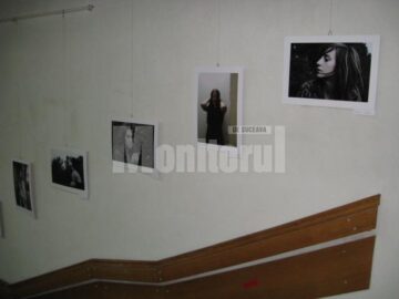 Secvență din expoziție