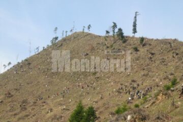 În județ, terenurile degradate, afectate de eroziune, ocupă aproximativ 12.800 ha