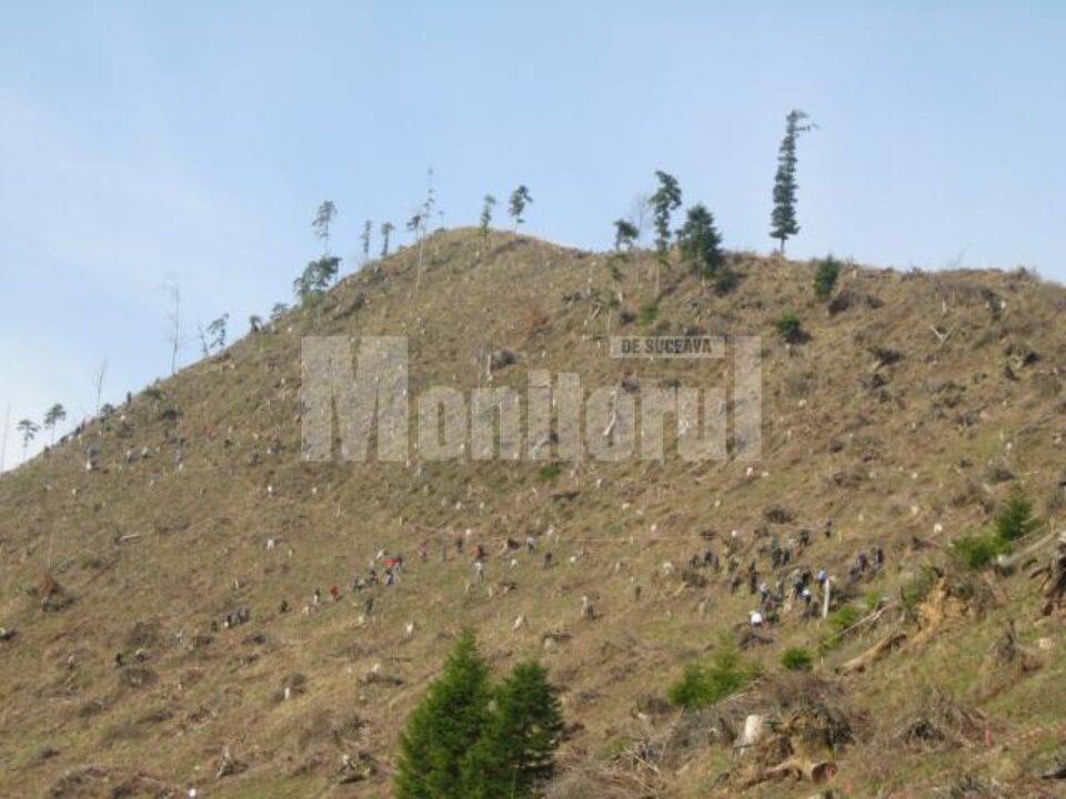 În județ, terenurile degradate, afectate de eroziune, ocupă aproximativ 12.800 ha