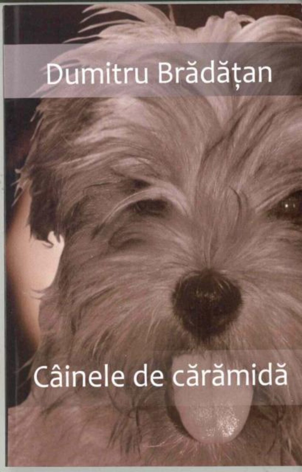 Dumitru Brădățan: „Câinele de cărămidă”