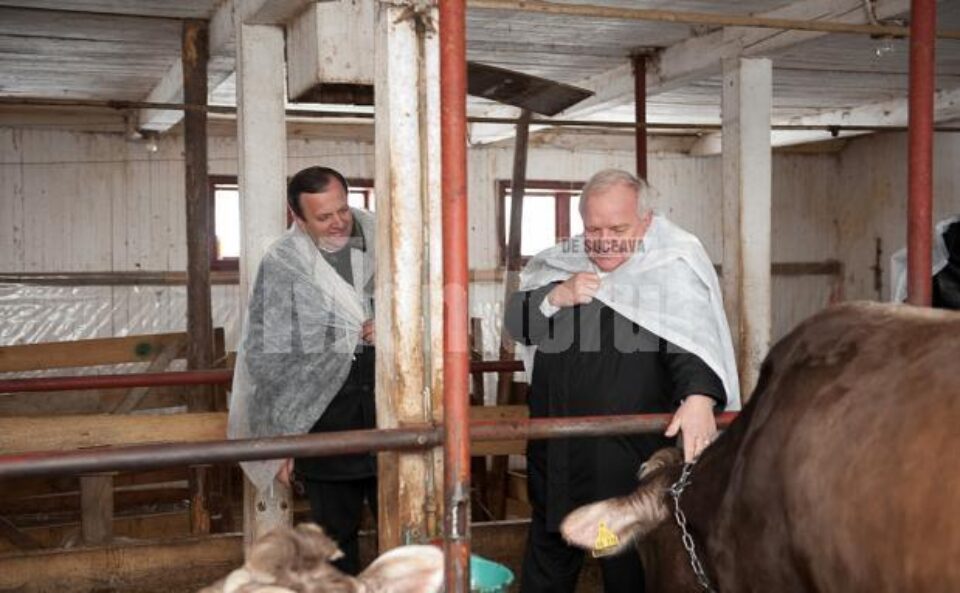 Gheorghe Flutur și Joseph Daul, la ferma din Sadova