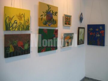 Secvență din expoziție