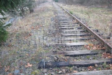 Sectorul de cale ferata Gura Putnei - Nisipitu