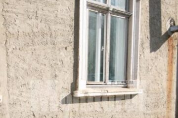 Mesaj: Adopția sau eutanasia, alternativele oferite de Primăria Suceava pentru câinii comunitari