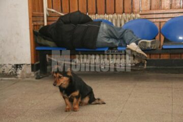 Un câine și un om al străzii, în Gara Ițcani