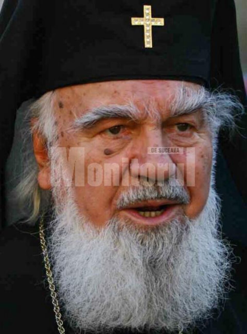 Bartolomeu Anania, „strălucitul cărturar, monahul luptător, demn și fermecător”