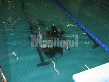 Cursul constă în 14 ore de teorie, 17 ore de practică și cinci scufundări în ape deschise