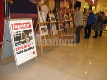 Vizionarea expoziției