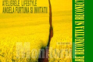 Conferințele Ars Felix: „Vindecare reconectivă și reconectare”